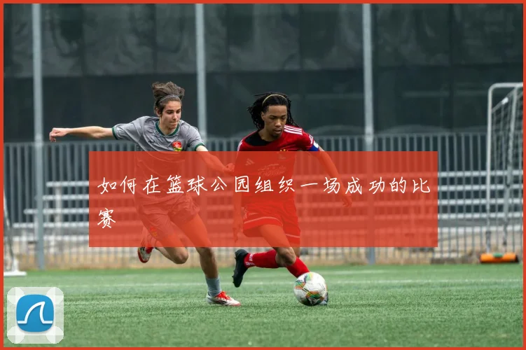 如何在篮球公园组织一场成功的比赛