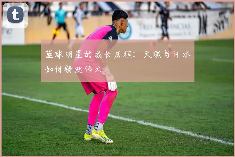 篮球明星的成长历程：天赋与汗水如何铸就伟大